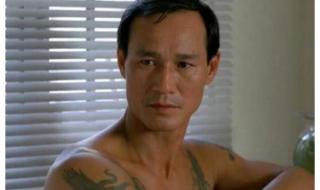 香港武打明星陈惠敏 香港武打明星陈惠敏